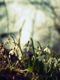 by rachel.am @ Flickr