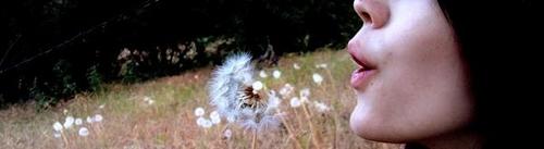 "Wish" by Bri Doll @ Flickr